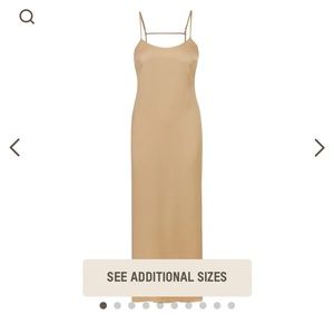 skims silk long sleep slip dress